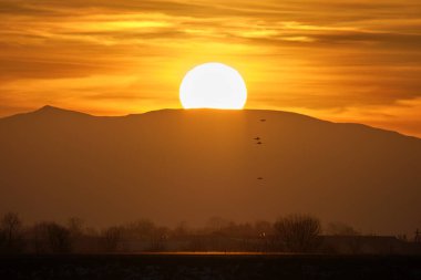 Güzel bir akşam panoramik manzarası. Gün batımında güneş batarken uzak dağ tepeleri ve asfalt yolda batıyor.