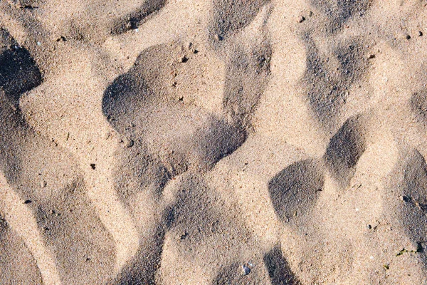 Vue plate de la surface de sable jaune propre couvrant la plage de bord de mer. Texture sableuse — Photo