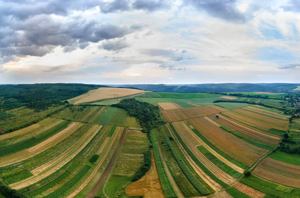 Vzdušná krajina pohled na zeleně obdělávaná zemědělská pole s rostoucí plodiny v jasný letní den — Stock fotografie