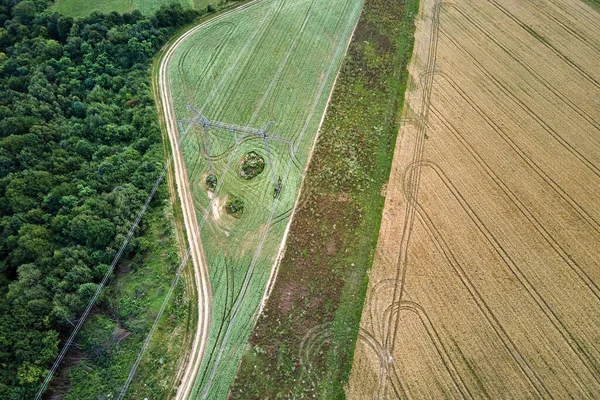 Parlak yaz gününde olgun buğday ve yeşil ormanlarla ekili sarı tarım arazilerinin havadan manzarası.