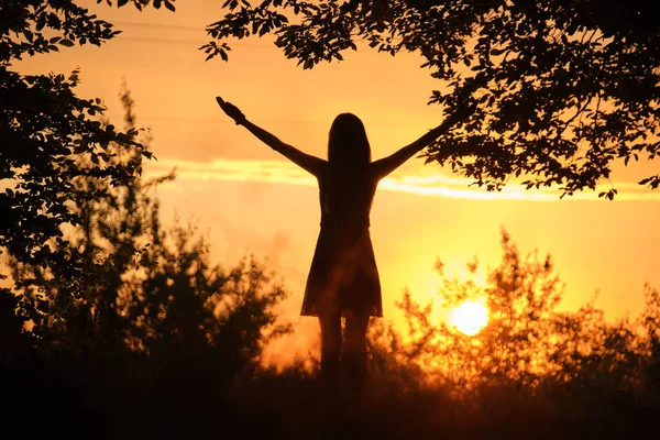 Hintere Silhouettenansicht einer jungen glücklichen Frau, die allein in dunklen Wäldern steht und mit erhobenen Händen den Sommerabend genießt. Sieg und Erfolgskonzept — Stockfoto