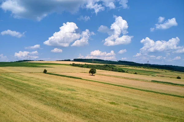 Vzdušná krajina pohled na zelené a žluté obdělávané zemědělské pole s rostoucí plodiny v jasný letní den — Stock fotografie