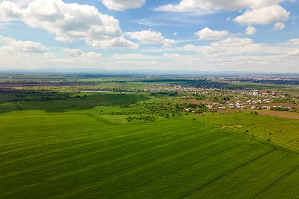 Widok z lotu ptaka na zielone pola uprawne z uprawami w pogodny letni dzień — Zdjęcie stockowe
