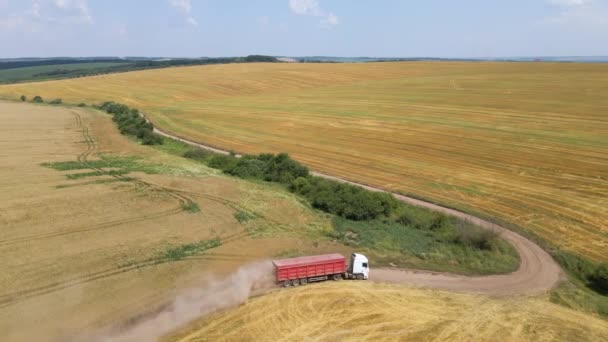 Vue aérienne de camion de fret conduisant sur la route de terre entre les champs de blé agricole faisant beaucoup de poussière. Transport du grain après récolte par moissonneuse-batteuse pendant la saison de récolte — Video