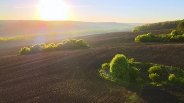 Widok z powietrza zaoranych pól uprawnych z uprawną żyzną glebą przygotowaną do sadzenia roślin między zielonymi lasami wiosną o zachodzie słońca — Wideo stockowe