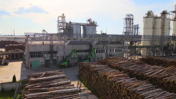 Αεροφωτογραφία του εργοστασίου επεξεργασίας ξύλου με στοίβες ξυλείας στο εργοστάσιο παραγωγής — Αρχείο Βίντεο