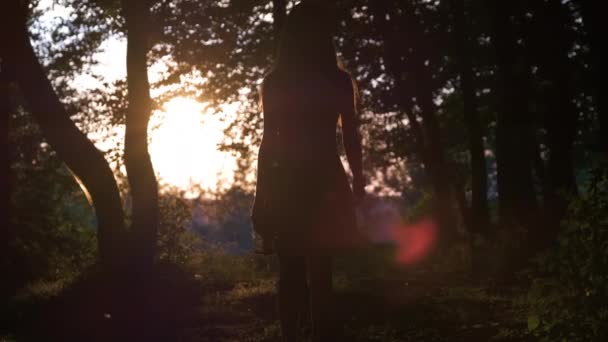 Silhouette scura di giovane donna che cammina da sola attraverso la foresta oscura in estate sera. Godersi la natura e il concetto di attività all'aperto — Video Stock