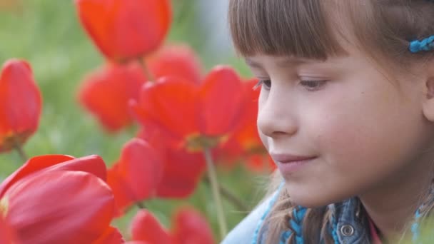 夏の庭で遊ぶ幸せな子供の女の子晴れた日に赤いチューリップの花の甘い香りを楽しむ — ストック動画