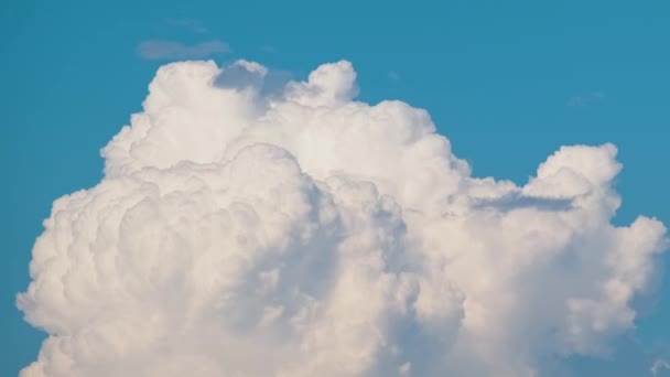 Timelapse of white puffy cumulus clouds forming on summer blue sky. Moving and changing cloudscape weather — Stock Video