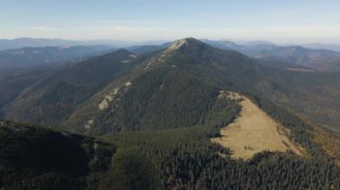 Yaban dağlarında koyu çam ağaçları olan yüksek tepelerin havadan manzarası