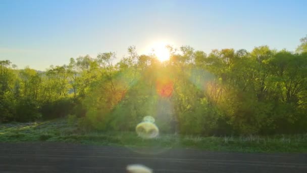 Veduta aerea del bosco con alberi verdi freschi e campi coltivabili agricoli all'inizio della primavera al tramonto — Video Stock