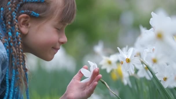 Heureuse fille enfant jouant dans le jardin d'été profitant d'un doux parfum de fleurs de narcisse blanches le jour ensoleillé — Video