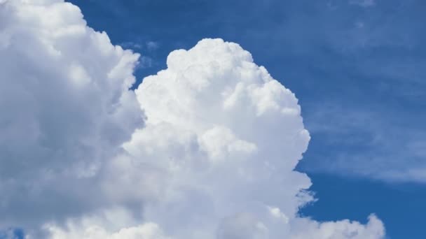 Zeitraffer aus weißen, geschwollenen Kumuluswolken, die sich am sommerblauen Himmel bilden. Bewegendes und sich änderndes Wolkenbild-Wetter — Stockvideo