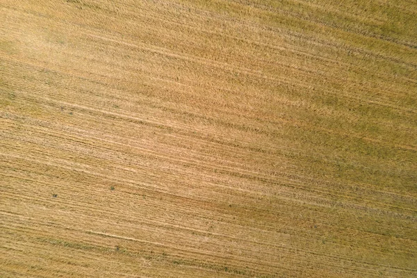 Aerial landscape view of yellow cultivated agricultural field with dry straw of cut down wheat after harvesting — Stockfoto