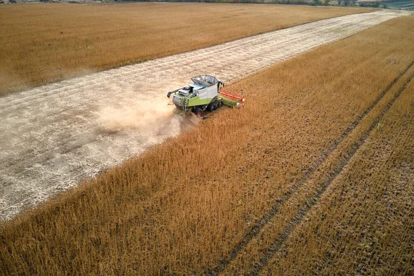 Vue aérienne de la moissonneuse-batteuse travaillant pendant la saison de récolte sur un grand champ de blé mûr. Concept d'agriculture — Photo