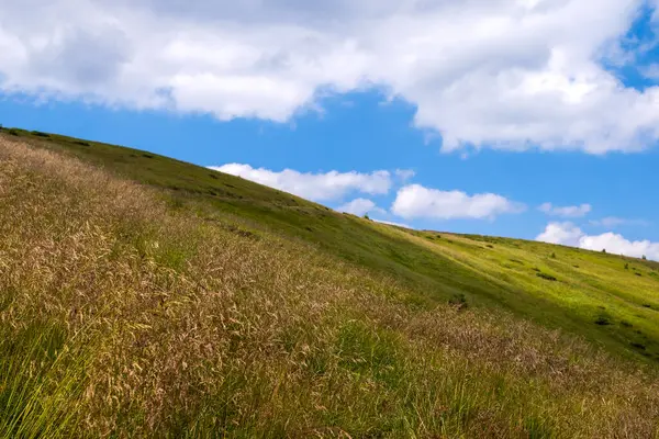 Světlá krajina s travnatou zelenou loukou a vzdálenými horskými kopci v létě — Stock fotografie