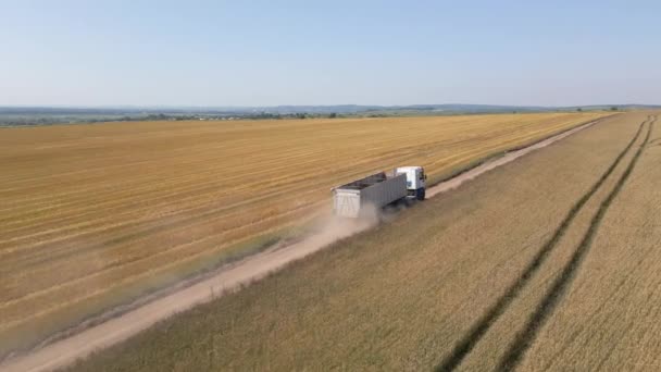 Aerial view of cargo truck driving on dirt road between agricultural wheat fields making lot of dust. Transportation of grain after being harvested by combine harvester during harvesting season — 图库视频影像
