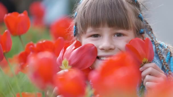O fetiță fericită care se joacă în grădina de vară bucurându-se de mirosul dulce de flori de lalele roșii în ziua însorită — Videoclip de stoc