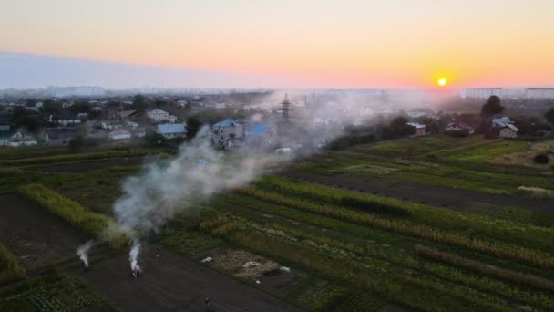 Aerial view of agricultural waste bonfires from dry grass and straw stubble burning with thick smoke polluting air during dry season on farmlands causing global warming and carcinogen fumes. — Stock Video
