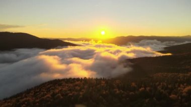Parlak günbatımında karanlık çam ağaçları üzerinde sisli bir akşamın havadan görüntüsü. Şafakta vahşi dağ ormanlarının inanılmaz manzarası