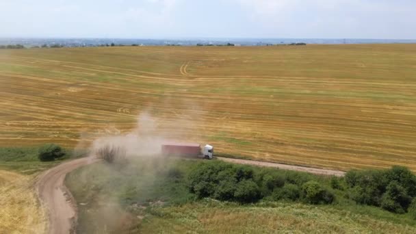 Воздушный обзор грузовика, движущегося по грунтовой дороге между сельскохозяйственными пшеничными полями, образующими много пыли. Перевозка зерна после уборки комбайном во время уборочного сезона — стоковое видео