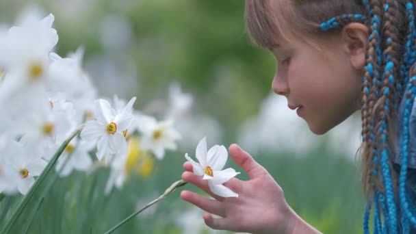 Счастливая девочка наслаждается сладким запахом белых цветов нарцисса в летнем саду — стоковое видео