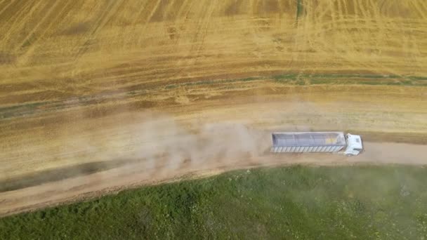 Luchtfoto van vrachtwagen vrachtauto rijden op onverharde weg tussen agrarische tarwevelden. Vervoer van graan na oogst door maaidorser tijdens oogstseizoen — Stockvideo