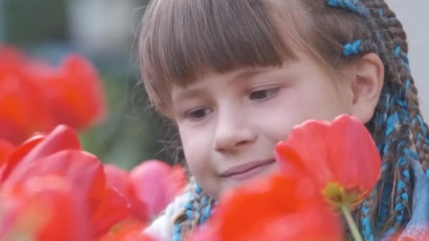 Happy child girl enjoying sweet smell of red tulip flowers in summer garden — Stock Video