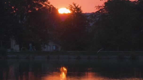 Seenlandschaft mit dunkler Silhouette von Parkbäumen, die sich im Wasser des Sees spiegeln, und entfernten Fußgängern am Damm bei hellem Sonnenuntergang — Stockvideo