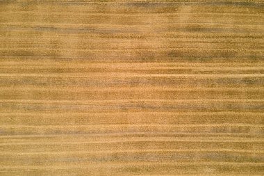 Buğday hasadından sonra kuru samanla ekilmiş sarı tarım arazisinin havadan manzarası