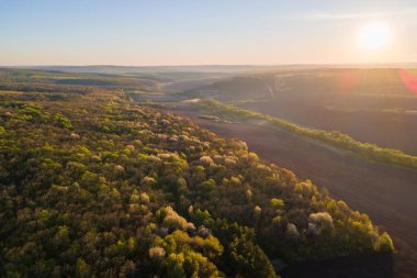 Baharın erken saatlerinde, taze yeşil ağaçları ve tarımsal tarlaları olan orman manzarası gün batımında