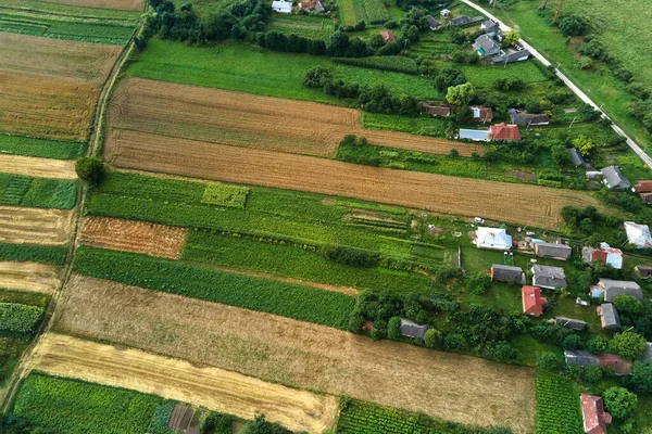 Aerial landscape view of village houses and distant green cultivated agricultural fields with growing crops on bright summer day — Stock Photo, Image