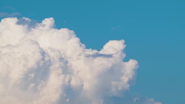 Timelapse de nuvens cumulus inchadas brancas formando no céu azul de verão. Mudando e mudando o clima da paisagem nublada — Vídeo de Stock