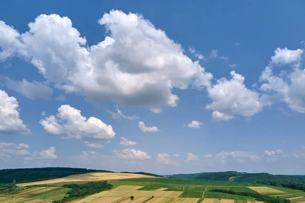 Letecký výhled na jasnou modrou oblohu nad zeleně obdělávanými zemědělskými poli s rostoucí úrodou a vzdálenými lesy za jasného letního dne — Stock fotografie