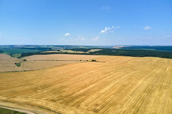 Vista aérea del paisaje del campo agrícola cultivado amarillo con paja seca de trigo cortado después de la cosecha —  Fotos de Stock