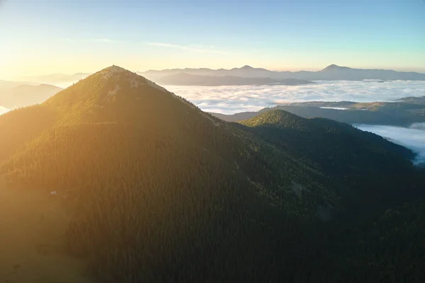 Vista aérea da manhã nebulosa brilhante sobre o pico escuro com árvores da floresta de montanha no nascer do sol do outono. Bela paisagem de floresta selvagem ao amanhecer — Fotografia de Stock
