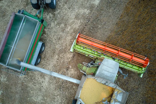 Αεροφωτογραφία του συνδυασμού εσοδείας εκφόρτωση σιτηρών σε ρυμουλκούμενο φορτίου που εργάζονται κατά την περίοδο συγκομιδής σε μεγάλο πεδίο ώριμου σίτου. Γεωργία και μεταφορά της έννοιας των πρώτων γεωργικών προϊόντων — Φωτογραφία Αρχείου