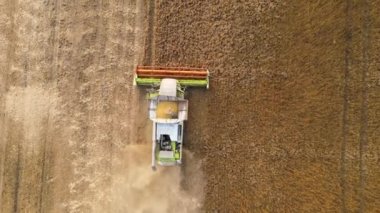 Buğday tarlasında hasat mevsiminde çalışan hasat makinesinin hava görüntüsü. Tarım kavramı