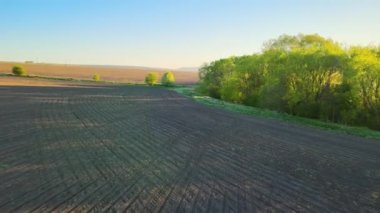 Baharda yeşil ormanlar arasında gün batımında ekin ekmeye hazırlanan ekili verimli topraklarla tarımsal tarlaların havadan görünüşü