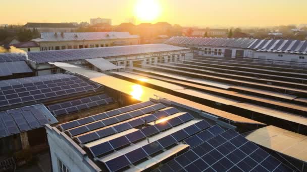 Sanayi binasının çatısına yeşil ekolojik elektrik üretmek için monte edilmiş mavi fotovoltaik panelli güneş enerjisi santralinin hava görüntüsü. Sürdürülebilir enerji konsepti üretimi — Stok video