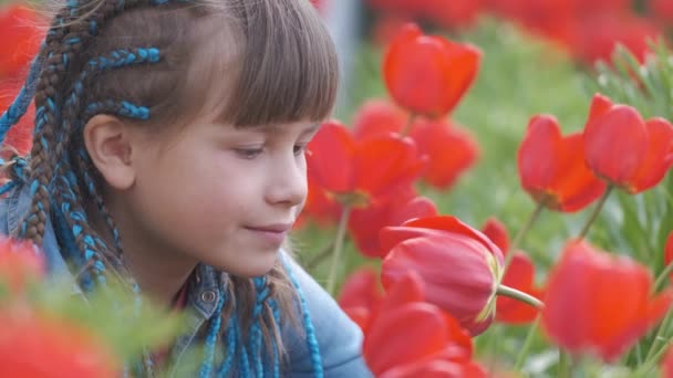 Fata copil fericit care se bucură de miros dulce de flori de lalele roșii în grădina de vară — Videoclip de stoc