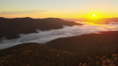 Sonbahar gündoğumunda karanlık dağ ormanları üzerinde parlak sisli bir sabah manzarası. Şafak vakti vahşi ormanın güzel manzarası