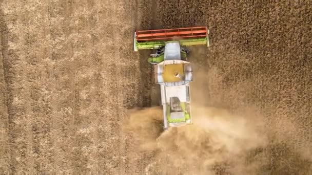 Letecký pohled na kombajn pracující během sklizně na velkém zralém pšeničném poli. Koncept zemědělství