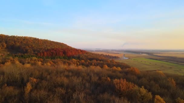 秋天的落日时分，空中俯瞰着覆盖着茂密的松树和郁郁葱葱的森林、绿树和黄树的山丘。秋天美丽的夜景 — 图库视频影像