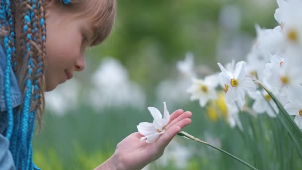 Glückliches Mädchen spielt im Sommergarten und genießt den süßen Duft weißer Narzissenblüten an sonnigen Tagen — Stockvideo
