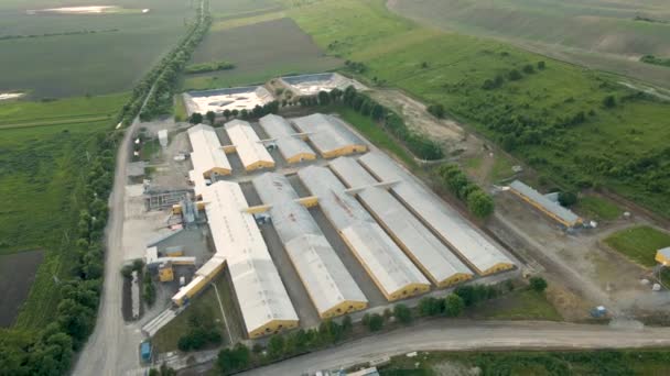 Vista aérea de edificios de granjas ganaderas entre tierras de cultivo verdes — Vídeos de Stock