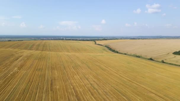 Vista aérea del paisaje del campo agrícola cultivado amarillo con paja seca de trigo cortado después de la cosecha — Vídeos de Stock