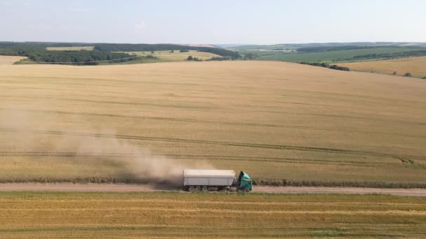 Widok z lotu ptaka ciężarówki przewożącej ładunki między polami pszenicy rolniczej. Transport zboża po zbiorach przez kombajn zbożowy w okresie zbiorów — Wideo stockowe