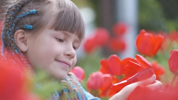 Glückliches Kindermädchen genießt den süßen Duft roter Tulpenblüten im Sommergarten — Stockvideo