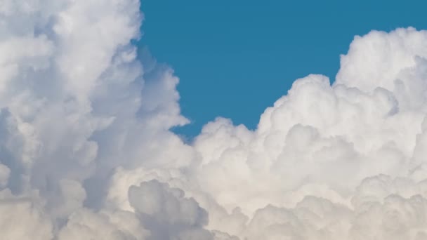 Timelapse de nuvens cumulus inchadas brancas formando no céu azul de verão. Mudando e mudando o clima da paisagem nublada — Vídeo de Stock